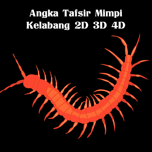 Detail Buku Mimpi 3d Lipan Nomer 23