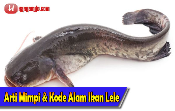 Detail Buku Mimpi 3d Memancing Ikan Lele Nomer 14