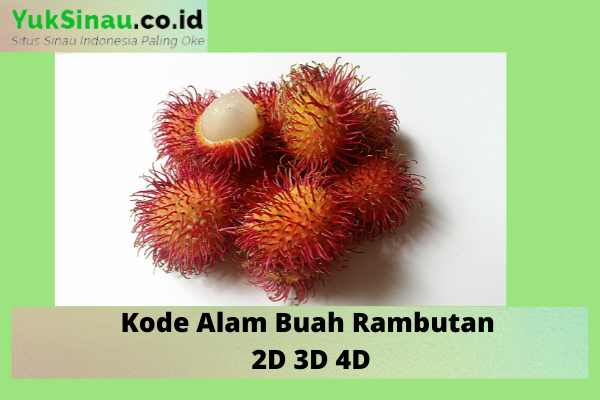 Detail Buku Mimpi 3d Memetik Rambutan Nomer 5