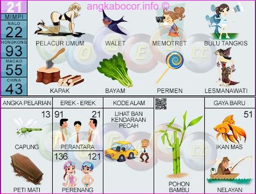 Detail Buku Mimpi 3d Memotret Nomer 15