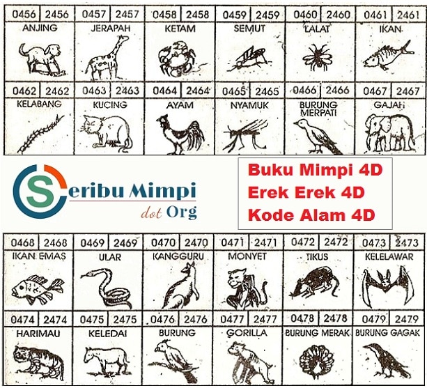 Detail Buku Mimpi 3d Rambut Keriting Nomer 28