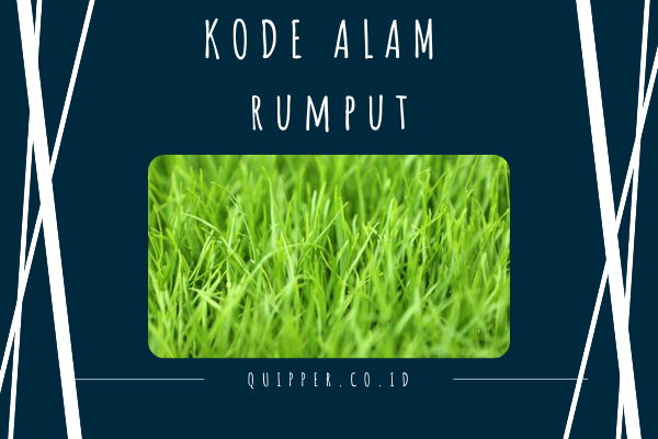 Detail Buku Mimpi 3d Rumput Nomer 3