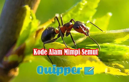 Detail Buku Mimpi 4d 0909 Nomer 40