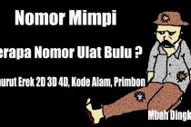 Detail Buku Mimpi 4d 3239 Nomer 24