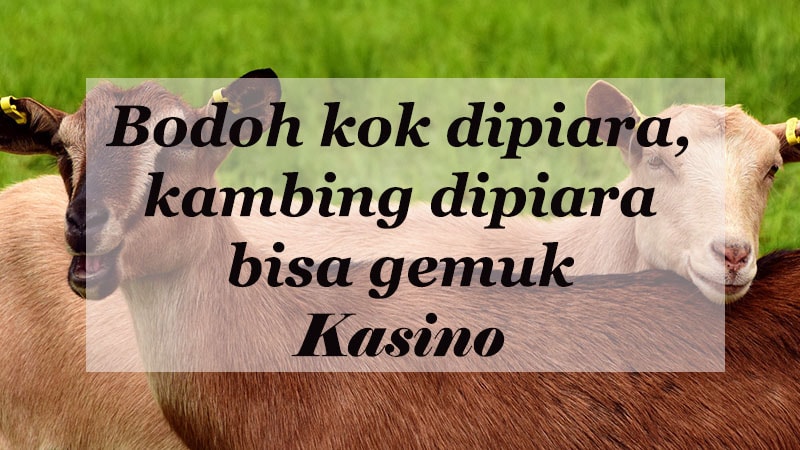 Detail Kata2 Lucu Jorok Nomer 30