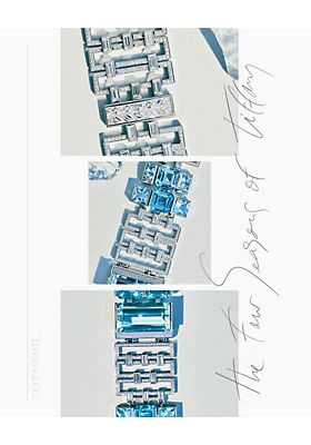 Detail Katalog Tiffany Co Nomer 6