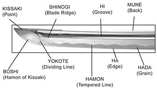 Detail Katana Plural Nomer 50