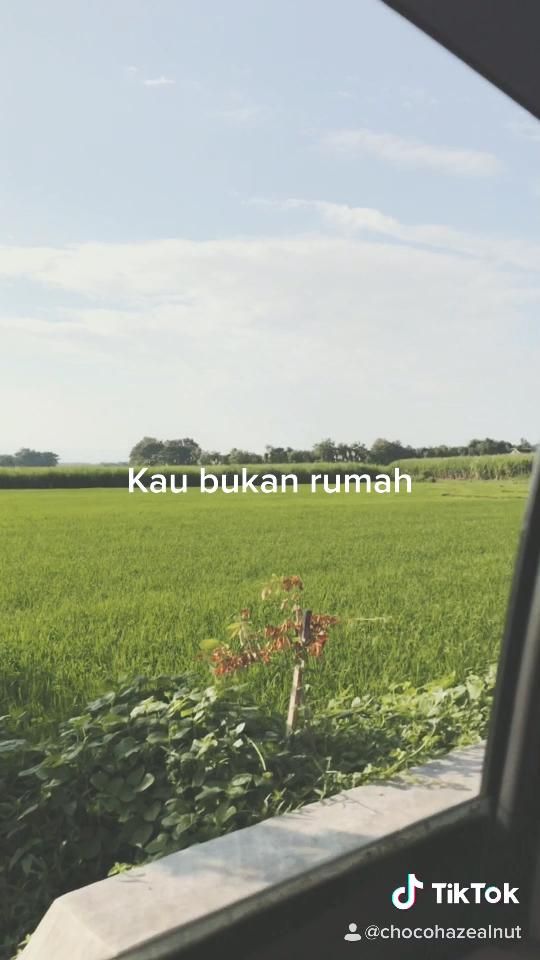 Detail Kau Bukan Rumah Nomer 24