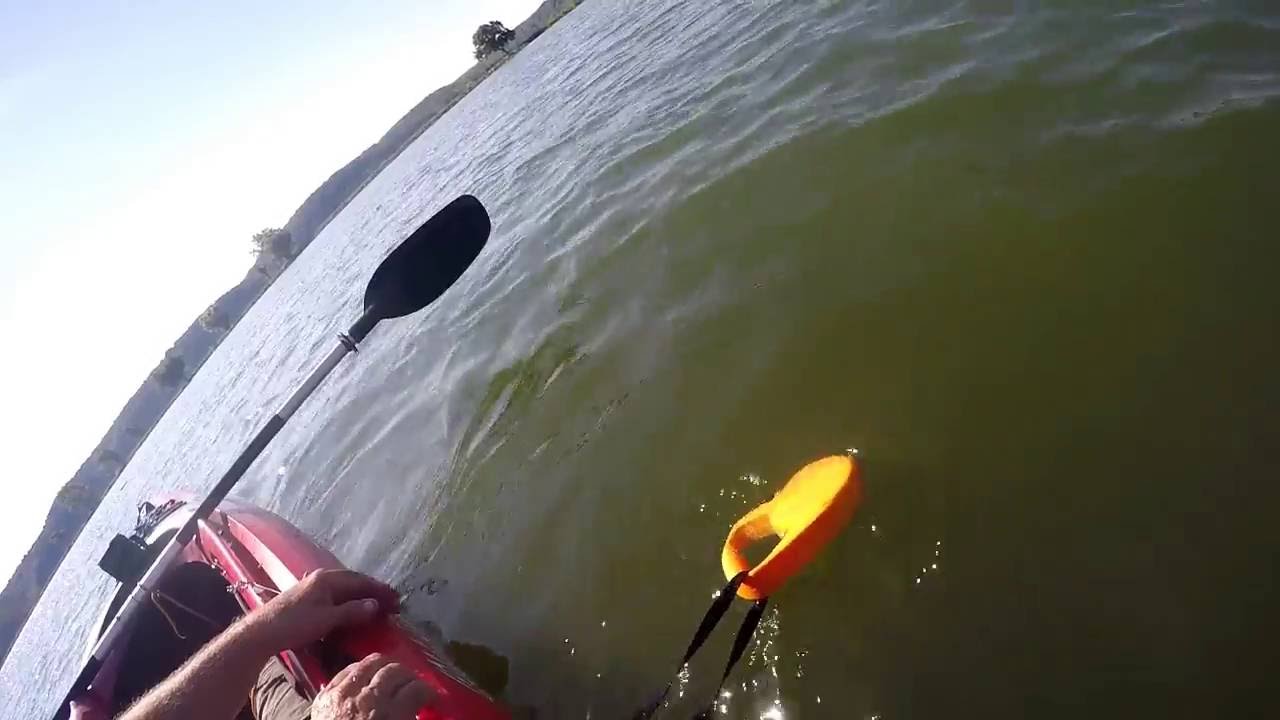 Detail Kayak Dog Leash Anchor Nomer 6