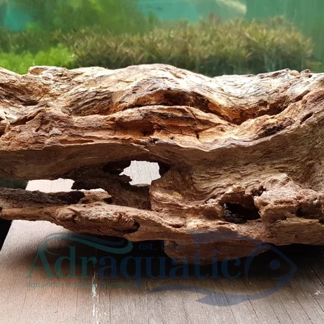 Detail Kayu Aquascape Nomer 48