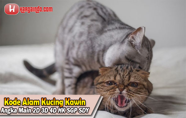 Detail Buku Mimpi 4d 4368 Nomer 40