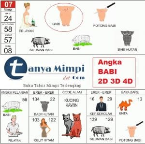 Detail Buku Mimpi 4d 6655 Nomer 45