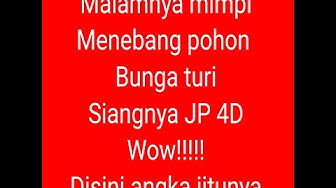 Detail Buku Mimpi 4d 6907 Nomer 16
