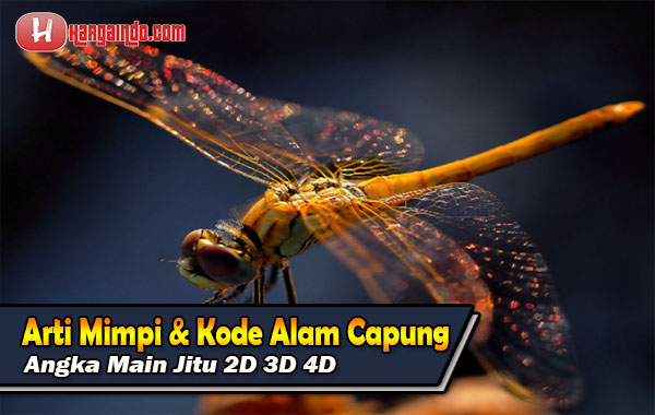 Detail Buku Mimpi 4d 9005 Nomer 35