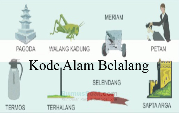 Detail Buku Mimpi 4d Abjad Belalang Nomer 31