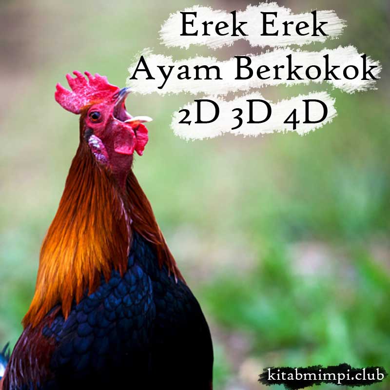 Detail Buku Mimpi 4d Ayam Berkokok Nomer 19