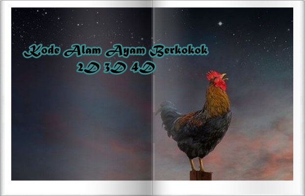 Detail Buku Mimpi 4d Ayam Berkokok Nomer 7