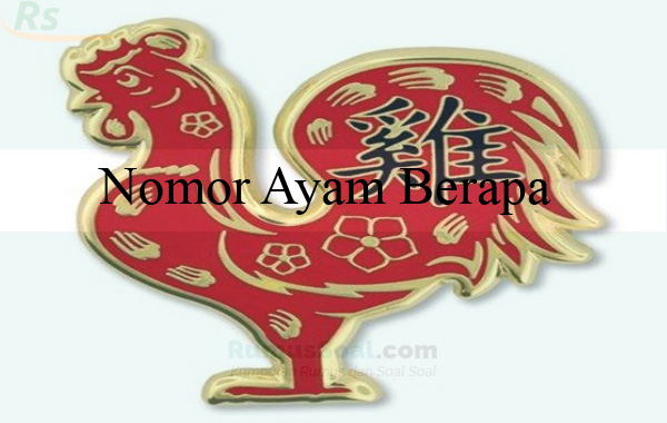 Detail Buku Mimpi 4d Ayam Bertelur Nomer 10