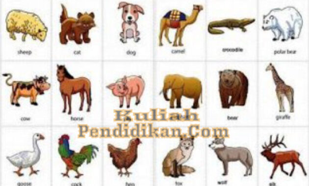 Detail Buku Mimpi 4d Ayam Bertelur Nomer 19