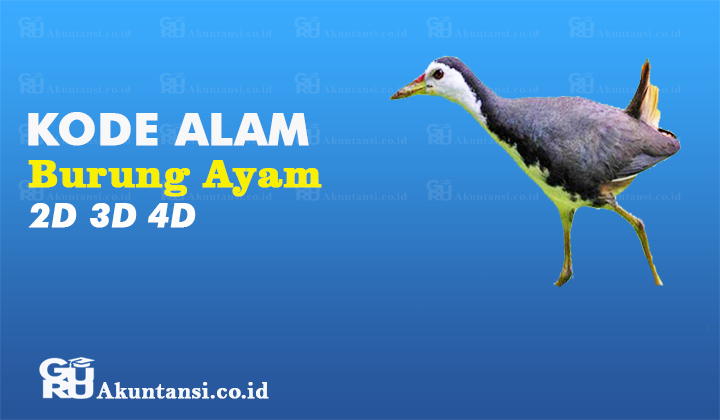 Detail Buku Mimpi 4d Ayam Bertelur Nomer 43