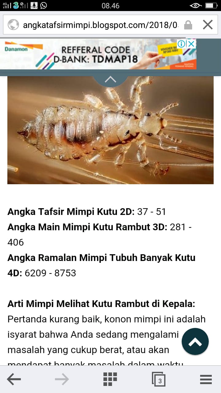 Detail Buku Mimpi 4d Banyak Kutu Nomer 42