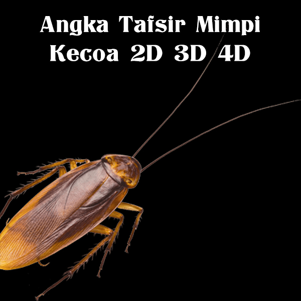 Detail Buku Mimpi 4d Bergambar Kecoa Nomer 45