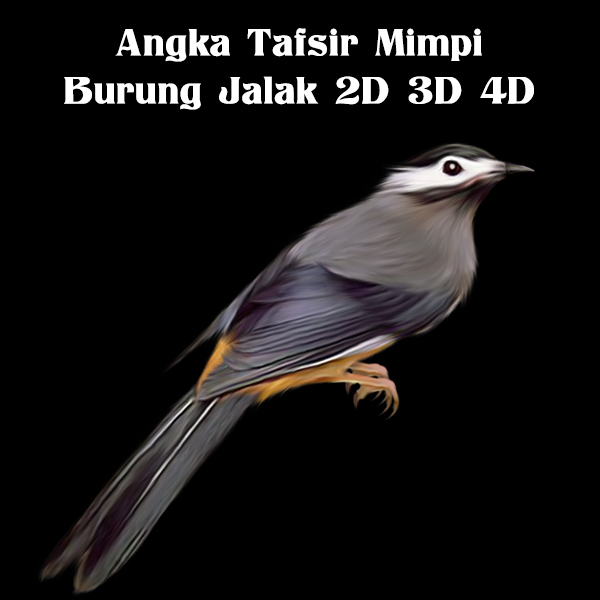 Detail Buku Mimpi 4d Burung Jalak Nomer 33