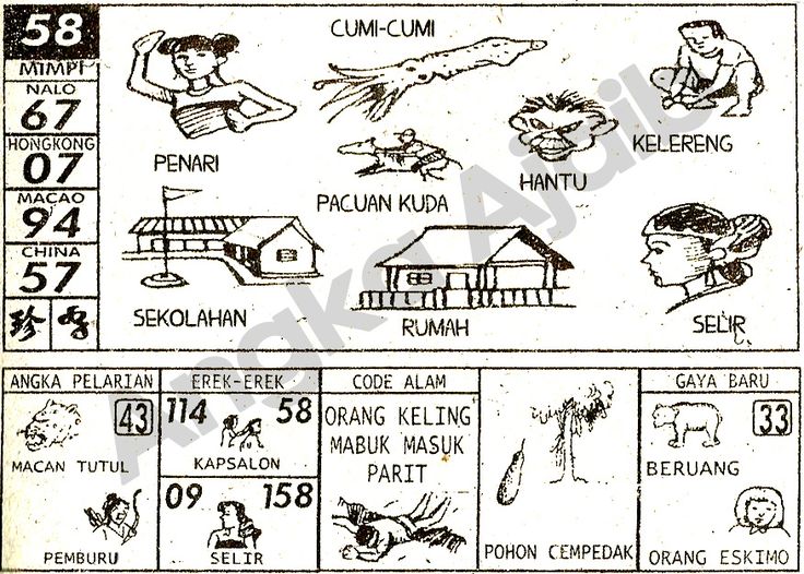 Detail Buku Mimpi 4d Cumi Cumi Nomer 16