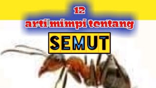 Detail Buku Mimpi 4d Di Kerumini Ikan Layur Nomer 39