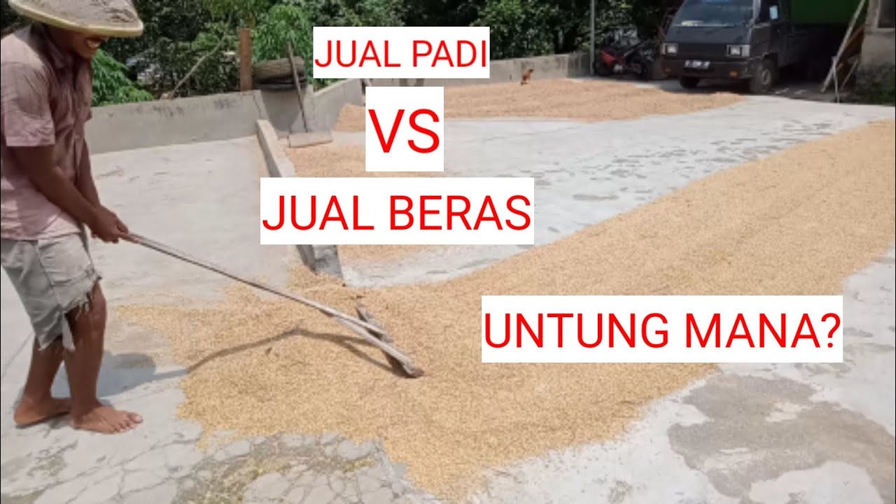 Detail Buku Mimpi 4d Diderek Nomer 41