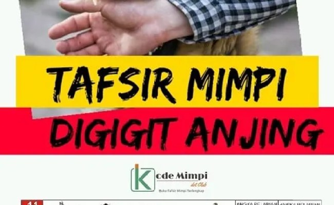 Detail Buku Mimpi 4d Digigit Kucing Nomer 33