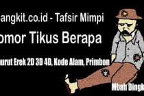 Detail Buku Mimpi 4d Dikejar Tukang Kredit Nomer 37