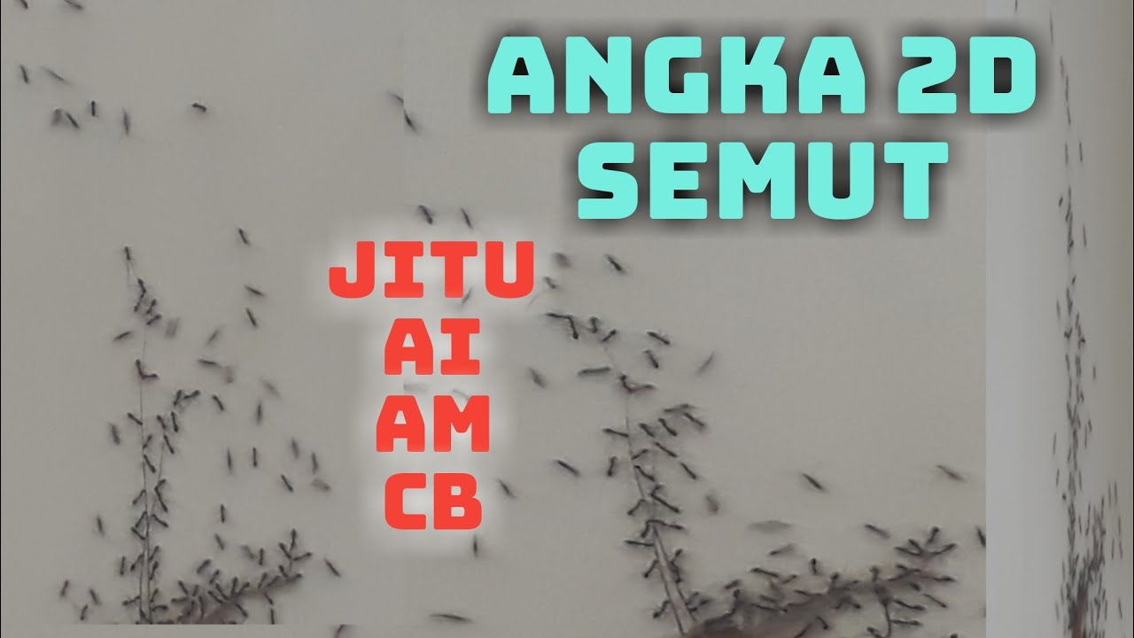 Detail Buku Mimpi 4d Dikerumuni Ikan Layur Nomer 13