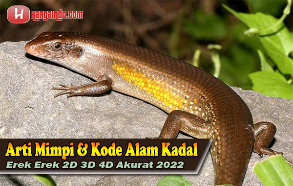 Detail Buku Mimpi 4d Ekor Nomer 47