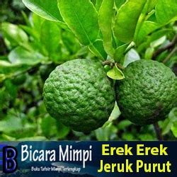 Detail Buku Mimpi 4d Jeruk Nomer 14