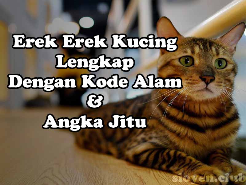 Detail Buku Mimpi 4d Kucing Kawin Nomer 33