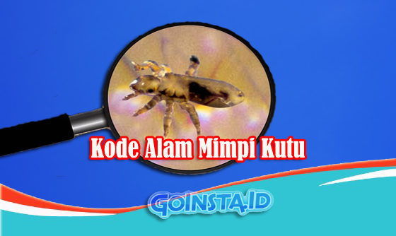 Detail Buku Mimpi 4d Lebah Nomer 41