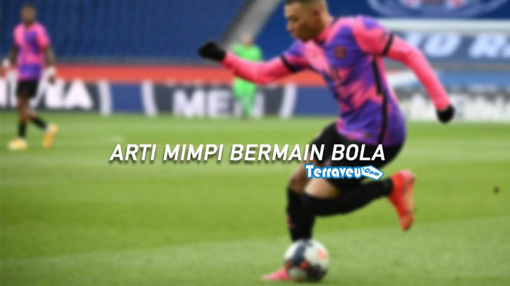 Detail Buku Mimpi 4d Main Bola Nomer 46