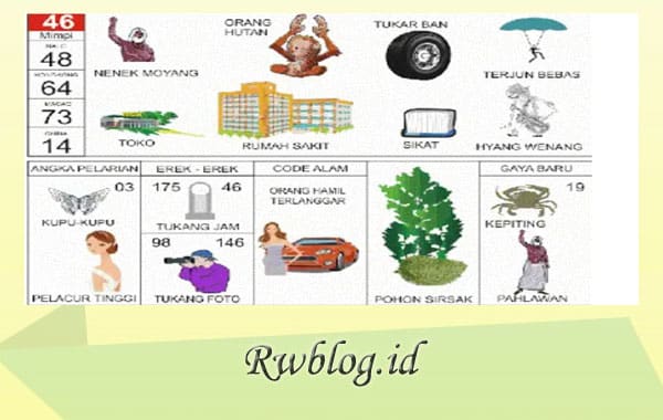 Buku Mimpi 4d Orang Utan - KibrisPDR