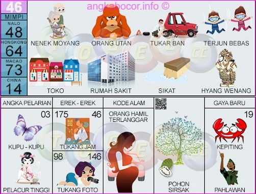 Detail Buku Mimpi 4d Orang Utan Nomer 4