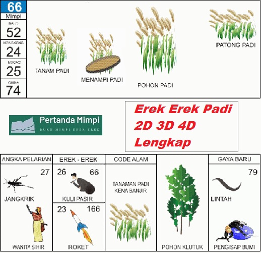 Detail Buku Mimpi 4d Panen Padi Nomer 11