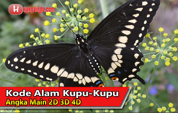 Detail Buku Mimpi 4d Tamu Tidak Hadir Nomer 47