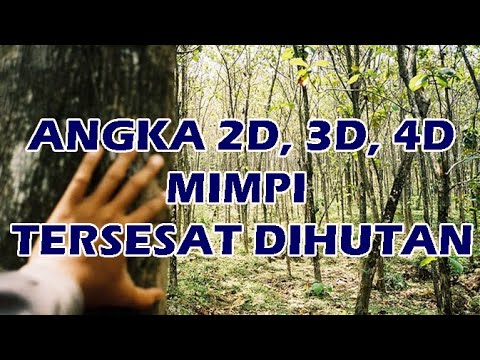 Detail Buku Mimpi 4d Tersesat Nomer 17