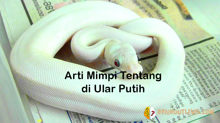 Detail Buku Mimpi 4d Ular Besar Nomer 39