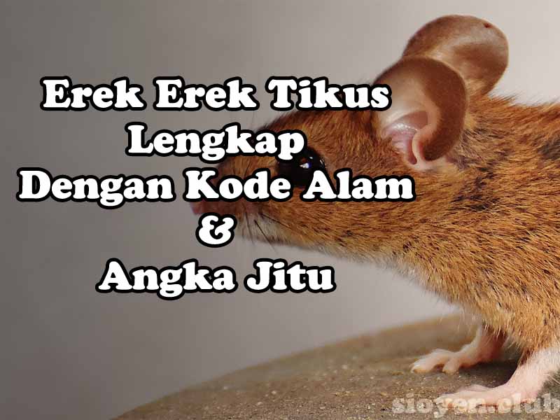 Detail Buku Mimpi 4d Ular Makan Tikus Nomer 24