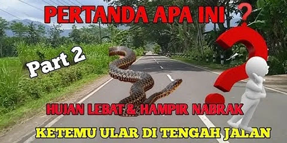 Detail Buku Mimpi 4d Ular Melintas Di Jalan Nomer 29