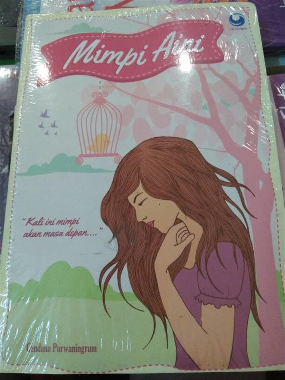 Detail Buku Mimpi Aini Nomer 13