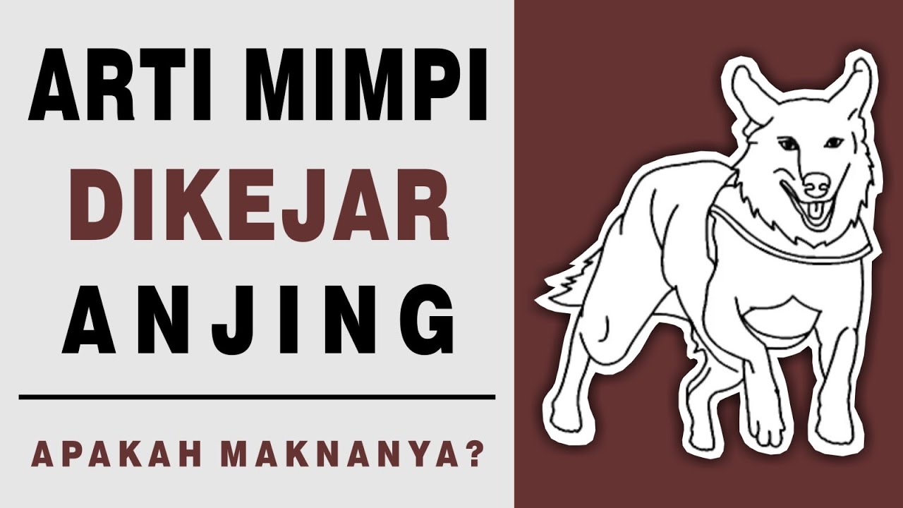 Detail Buku Mimpi Anjing Hitam 2d Nomer 44