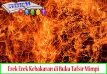 Detail Buku Mimpi Api 2d Nomer 23