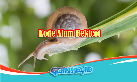 Detail Buku Mimpi Bekicot 3d Nomer 20